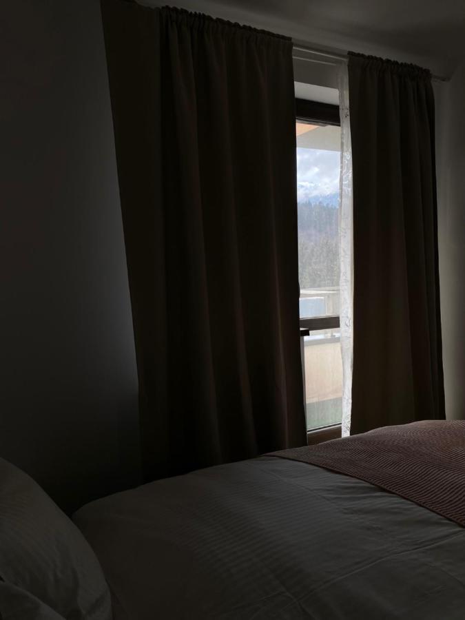 Appartement Ioana'S Apartament à Sinaia Extérieur photo